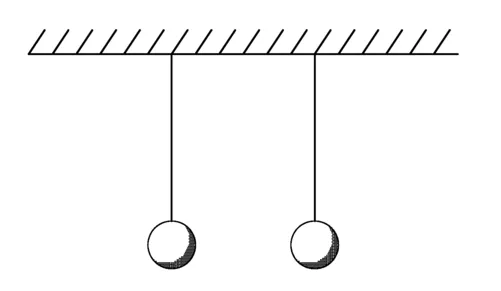 Figure 1.1 Uncharged balls hang from strings.