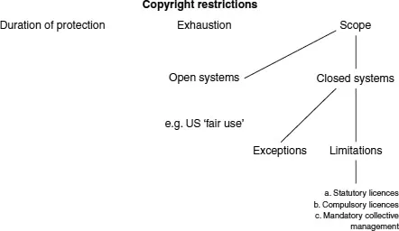 Figure 1.1 Copyright restrictions.