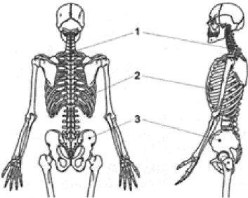 Figure1.2