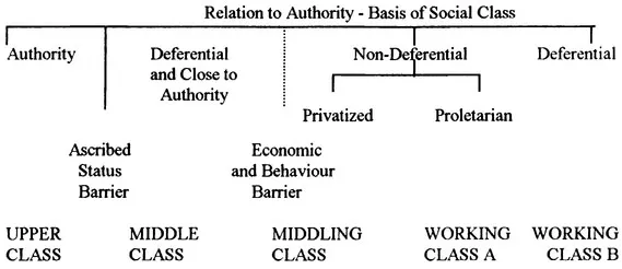 FIGURE I Five-class model
Based on Neale (1972)