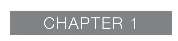 Chapter 1
