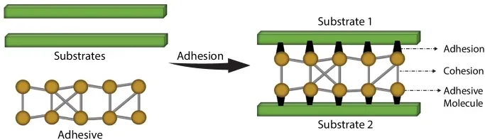 Image described by caption and surrounding text.