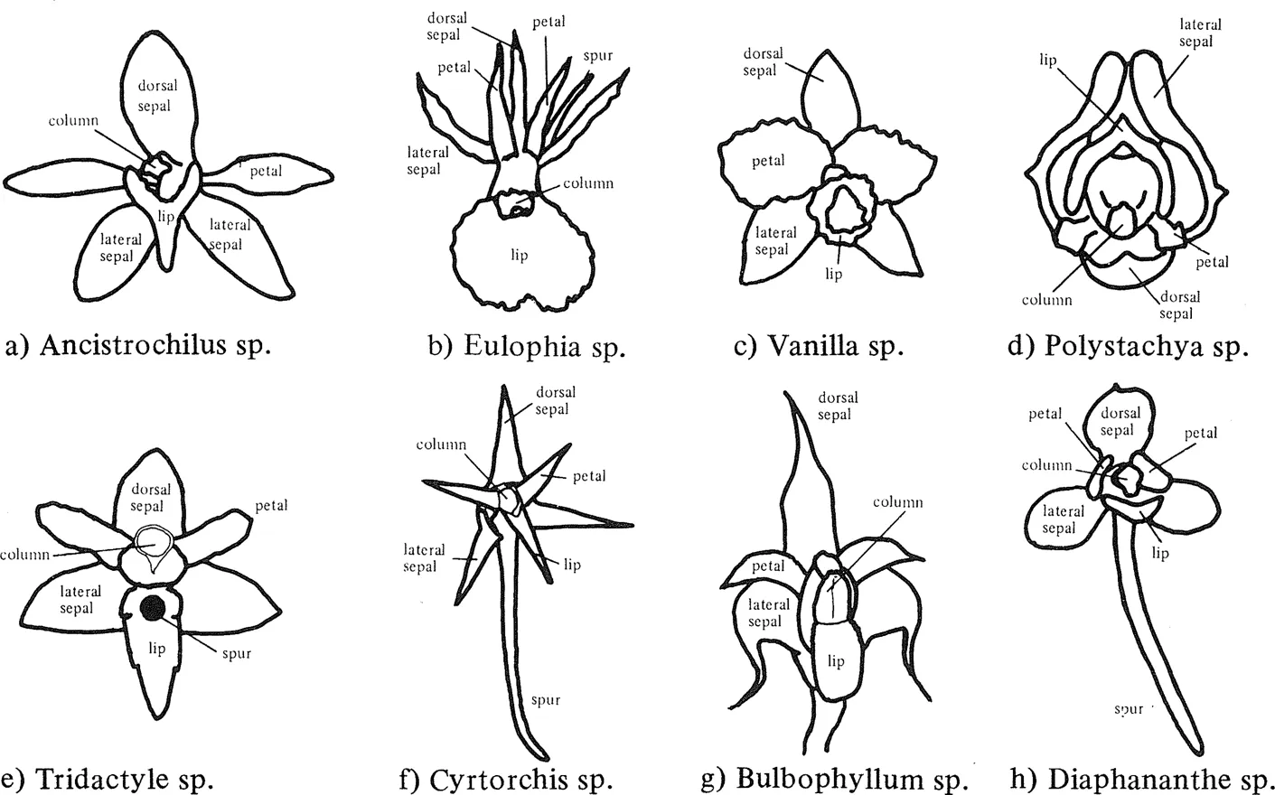 fig4_B.webp