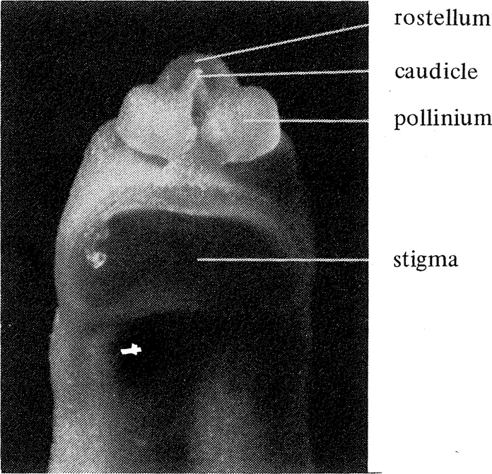 fig6_B.webp