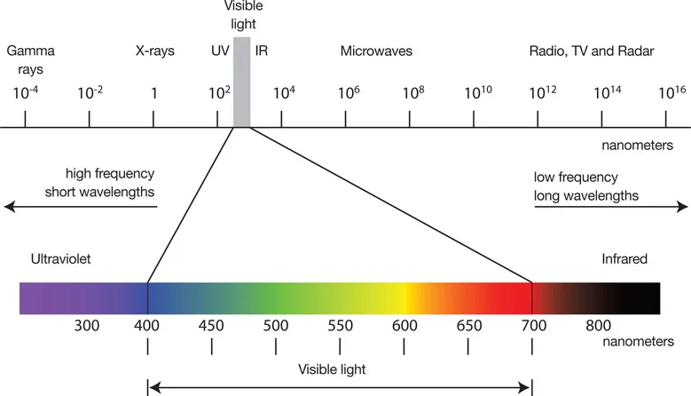 fig0004