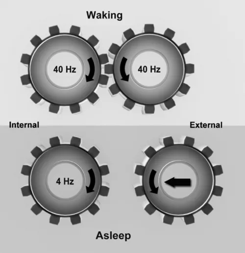 f01-01-9780128013854