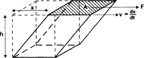 f01-01-9781855731981