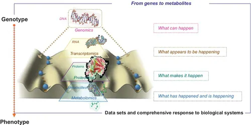 f01-01-9781782420842