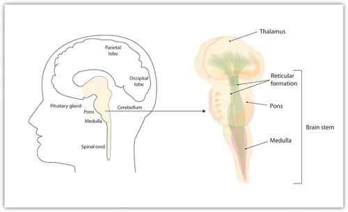 f01-01-9780124171886