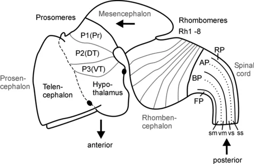 f01-01-9780124186699