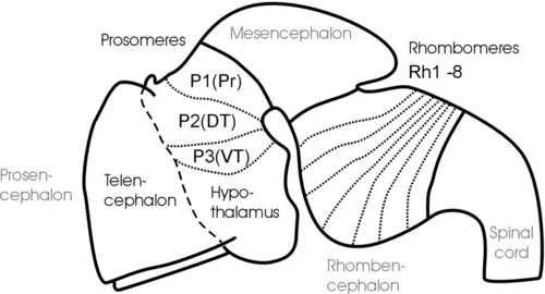 u01-01-9780124186699