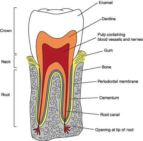 f01-01-9780081004913