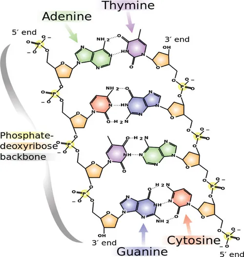 f01-01-9781907568923