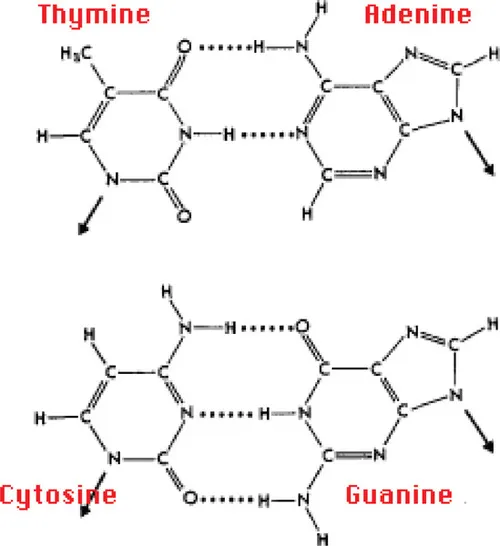 f01-02-9781907568923