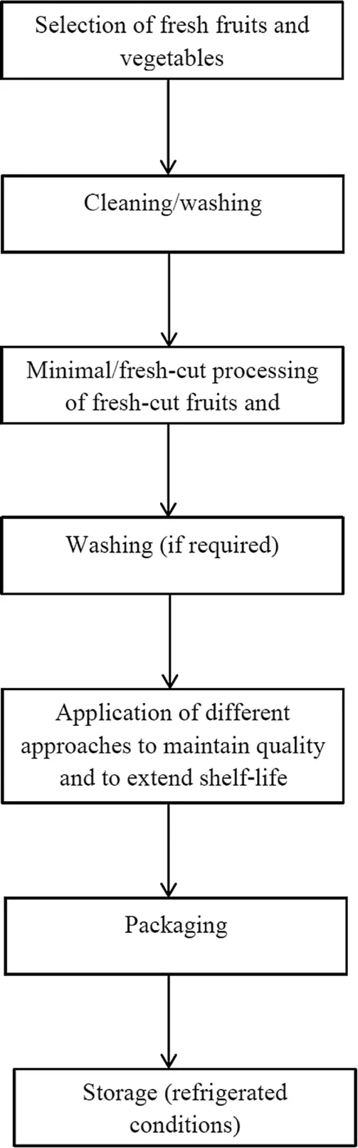 [PDF] FreshCut Fruits and Vegetables by Mohammed Wasim Siddiqui eBook