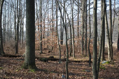 f01-01-9780127999364