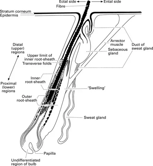 f01-01-9781843345626