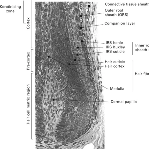 f01-02-9781843345626