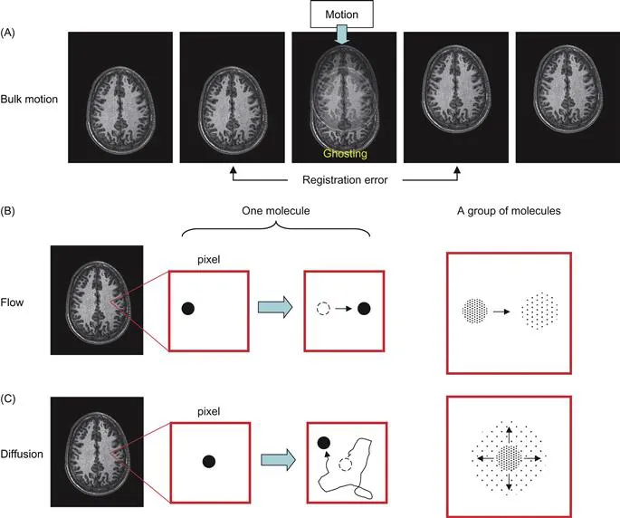 PDF] Introduction to Diffusion Tensor Imaging by Susumu Mori