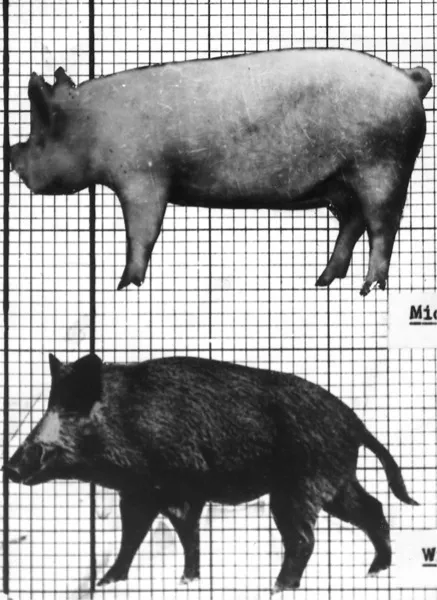 f01-01-9781845691592