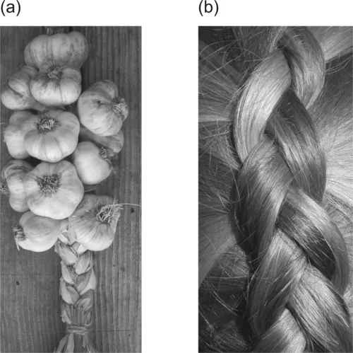 f01-02-9780857091352