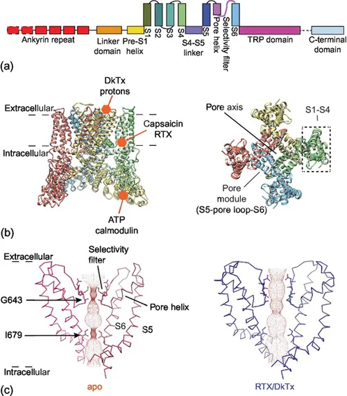 f01-01-9780124200241