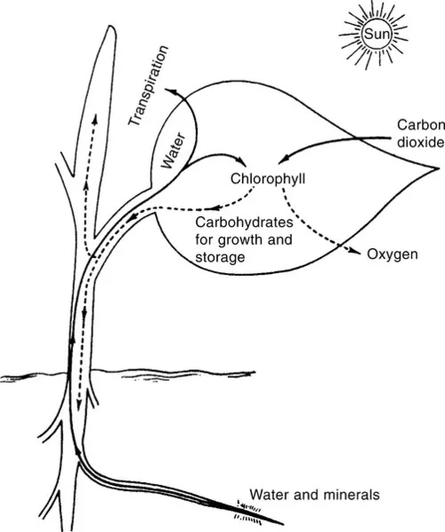 f01-01-9781855735491