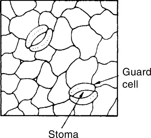 f01-02-9781855735491