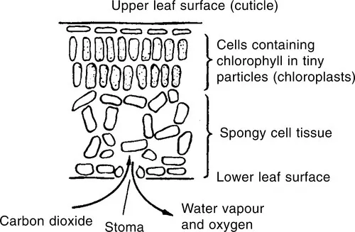 f01-03-9781855735491