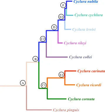 B9781437735161100019/f01-02-9781437735161.webp is missing