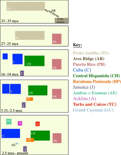 B9781437735161100019/f01-03-9781437735161.webp is missing