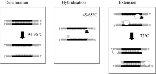 f01-01-9781855735262