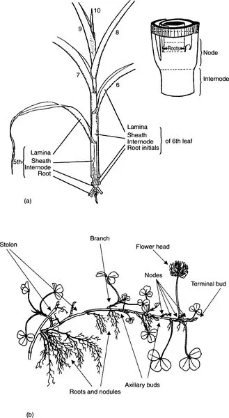 f01-01-9780122577666