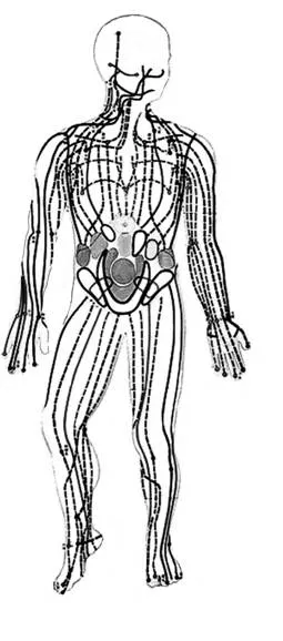 Meridian vorne-sw.tif