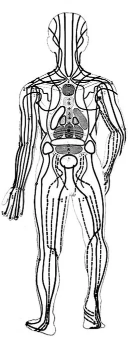 Meridiane hinten-sw.tif
