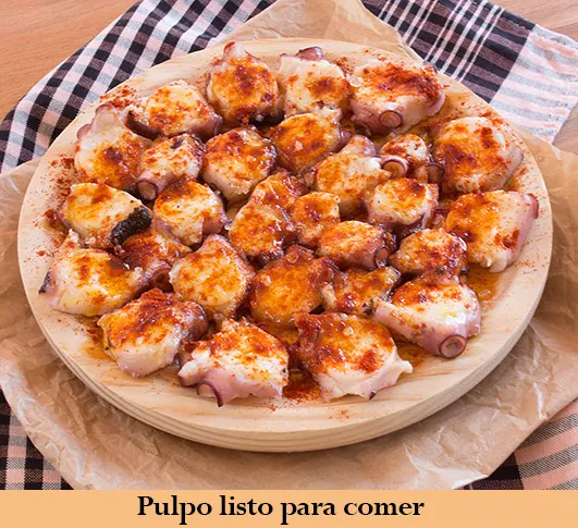 pulpo