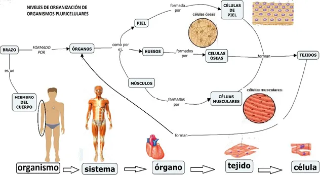 Descripción: Imagen que contiene texto, mapa  Descripción generada automáticamente