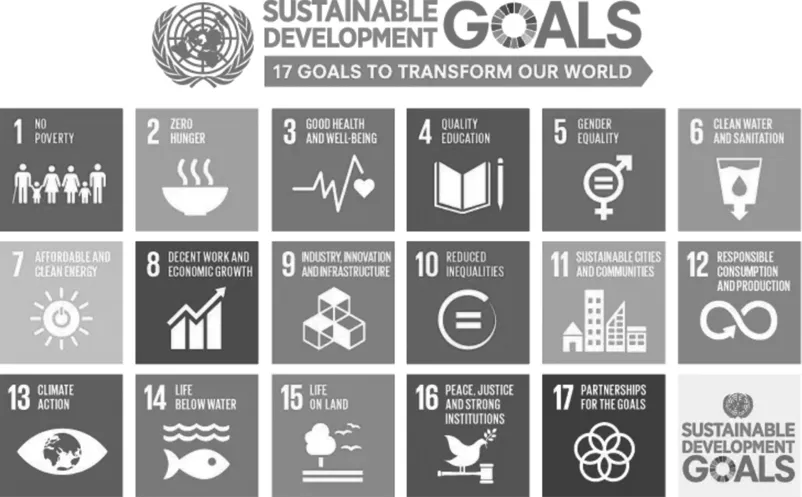 Figure 1.2 United Nations Sustainable Development Goals