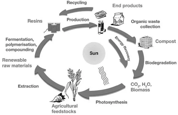 Figure 1.1 Life cycle of biodegradable plastics [1].