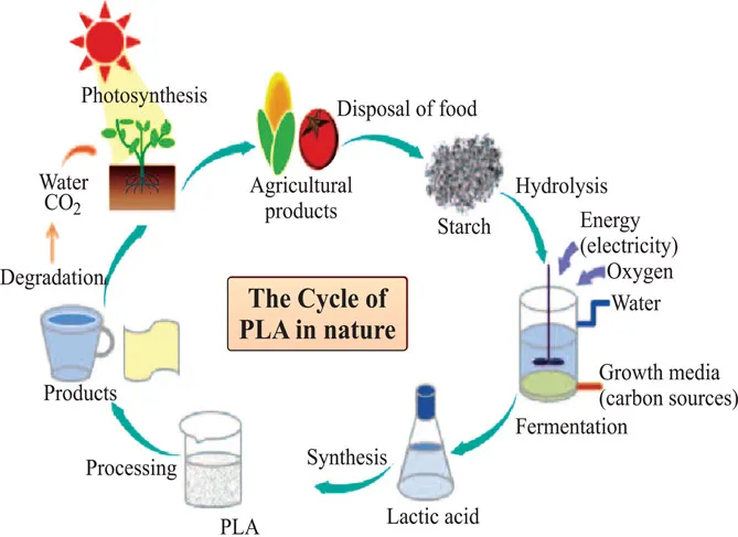 Figure 1.4 The cycle of PLA in nature.