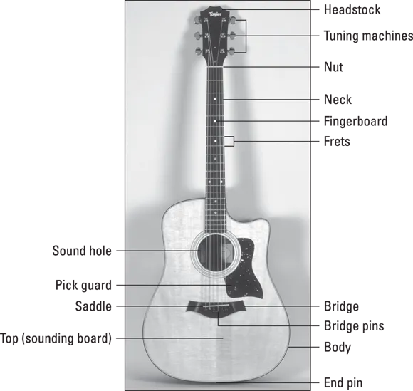 Photo depicts the typical acoustic guitar with its major parts labeled.