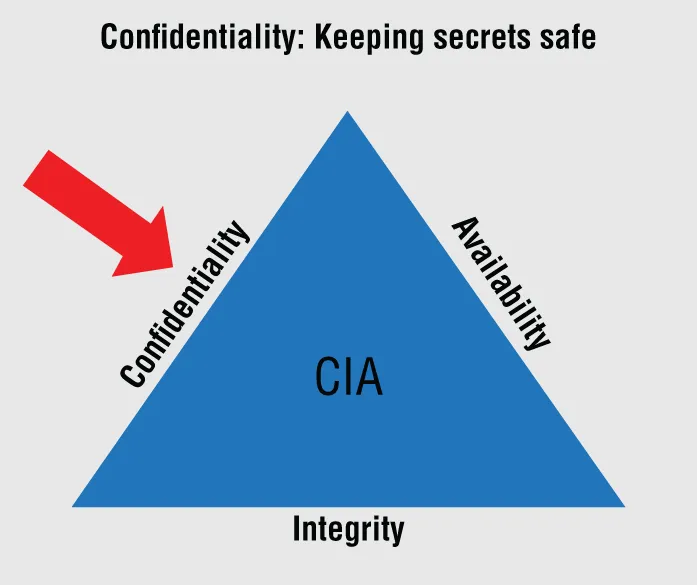 Schematic illustration of the confidentiality which keeping things safe.