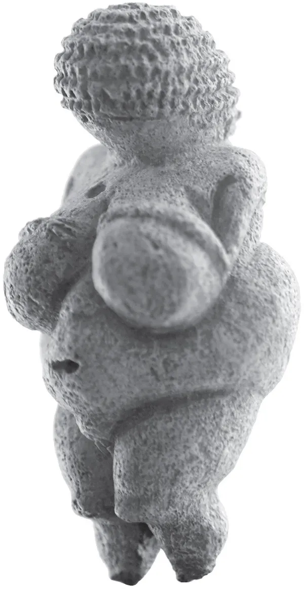 Oggi la vecchia convinzione che la corpulenza preistorica fosse simbolo di fecondità femminile è contestata da molti archeologi. La cosiddetta Venere di Willendorf è forse la più famosa delle figurine femminili, spesso grassocce, portate alla luce in molte parti del mondo.