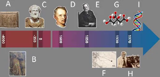 Schematic illustration of the timeline depicts evolution of industrial microbiology.