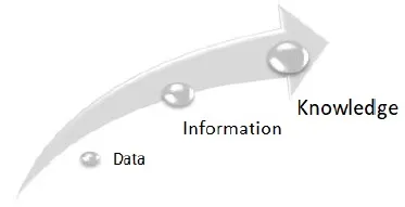 Image described by caption and surrounding text.