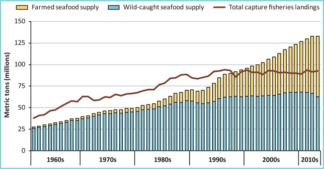 Figure 1.2 Relative contributions of capture fisheries and aquaculture to world seafood supplies, 1961–2013. As fishing fleets grew in size and in technological sophistication, total fisheries landings, including fish and shellfish used for food and industrial purposes, increased steadily through the 1980s. Thereafter, declining populations and implementation of stricter quotas and regulations on fishing effort have stabilized fisheries landings at roughly 90 million metric tons per year. Consequently, the supply of wild-caught seafood changed little during this time period. In response to ever-growing seafood demand and static supplies of wild-caught product, the aquaculture industry has grown dramatically for decades. Today, more than one-half of seafood eaten throughout the world every year is farmed.