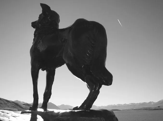 Figure 1.1 Beannachdan Air Na Cu Caorach (blessings on the sheepdogs) at Lake Tekapo, New Zealand (Photo: Mark Fisher). (Available in colour in the plate section between pages 178–179.)