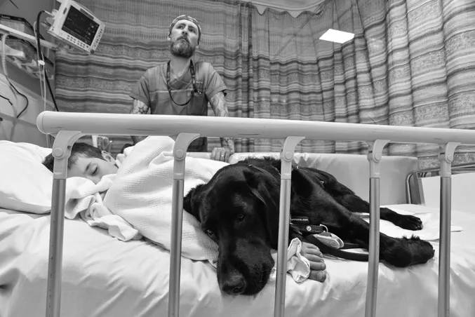 Figure 1.2 Two examples of how inseparable dogs’ and humans’ worlds can be. A young autistic boy in hospital with his ever-present assistance dog (Photo courtesy Louise Goossens/Capital and Coast District Health Board) and another youngster and his dog, surfing (Photo courtesy Heather O’Brien). (Available in colour in the plate section between pages 178–179.)