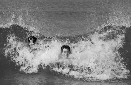 Figure 1.2 Two examples of how inseparable dogs’ and humans’ worlds can be. A young autistic boy in hospital with his ever-present assistance dog (Photo courtesy Louise Goossens/Capital and Coast District Health Board) and another youngster and his dog, surfing (Photo courtesy Heather O’Brien). (Available in colour in the plate section between pages 178–179.)