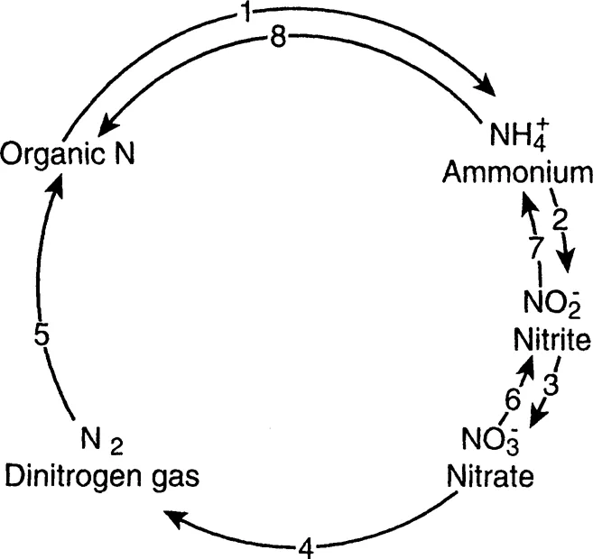 fig1_1_B.webp